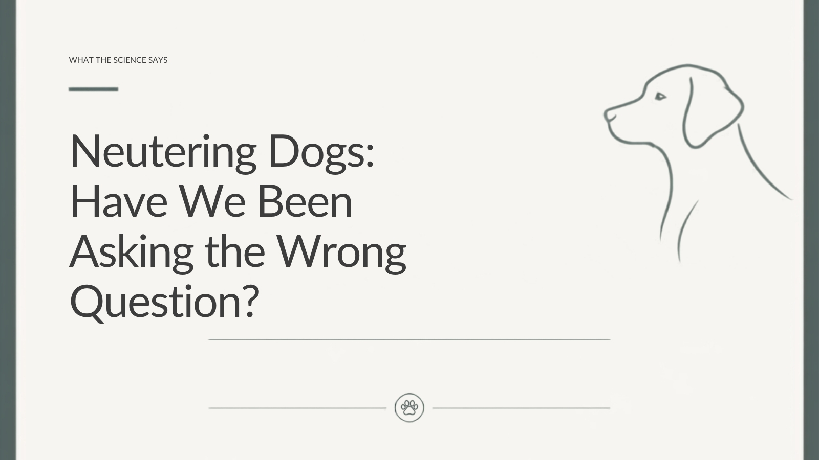 Lupo Academy article about neutering dogs, behaviour and choosing the right timing for an individual dog.
