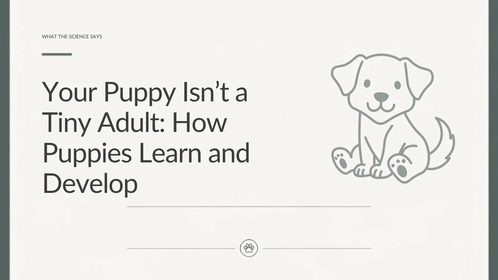 Lupo Academy article about puppy development, learning and how puppies change through the first six months.