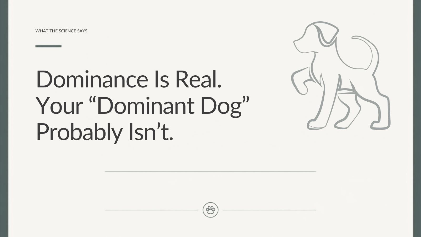 Lupo Academy article about dominance in dogs and why common behaviour is often incorrectly labelled as dominance.