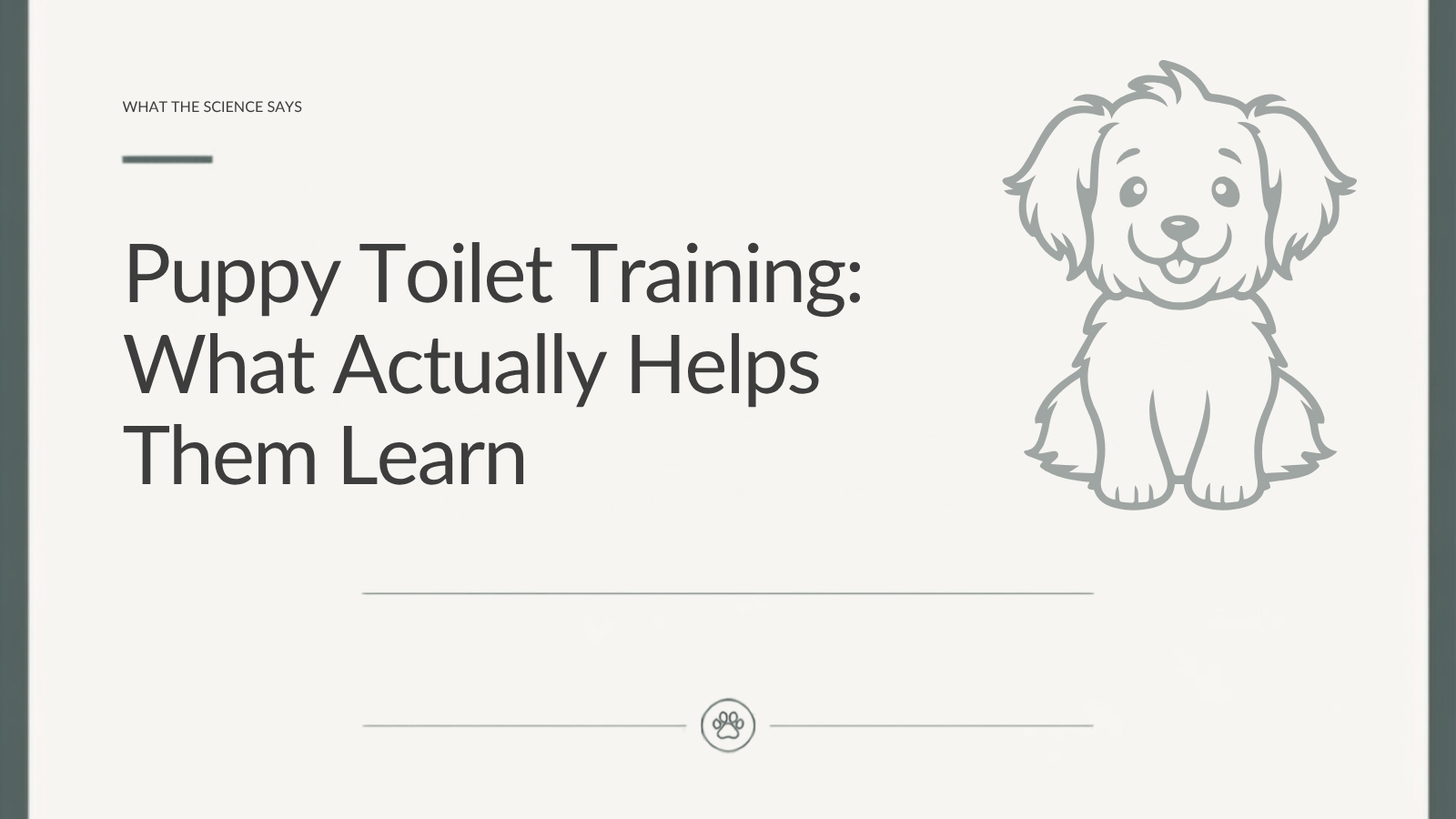Lupo Academy article about puppy toilet training, timing and building reliable habits without punishment.