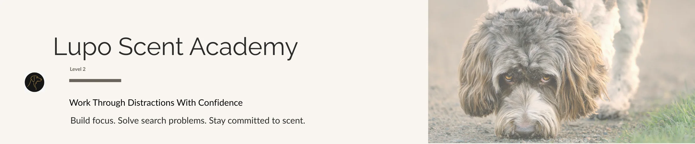 Lupo Scent Academy Level 2 course