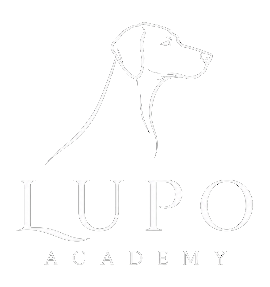 Lupo Academy logo