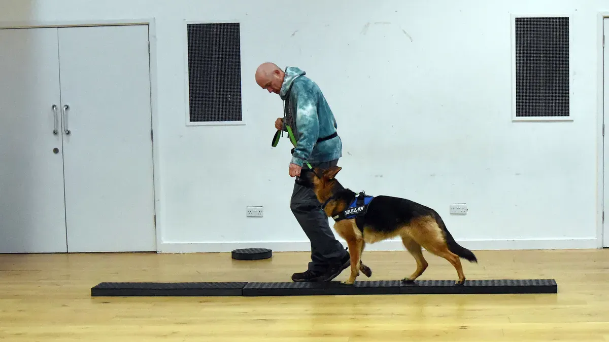 Dog and handler practising advanced training skills together